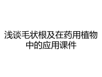 浅谈毛状根及在药用植物中的应用课件