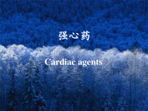 强心药作用整理课件