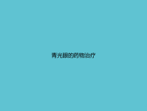 青光眼的药物治疗课件