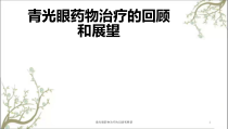 青光眼药物治疗的回顾和展望课件