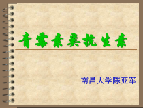 青霉素类抗生素课件