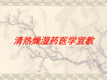 清热燥湿药医学宣教培训课件
