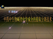 情境一中药中生物碱类化学成分的提取分离技术-课件