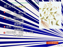祛风湿药4版课件