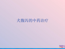 犬腹泻的中药治疗课件