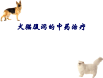 犬猫腹泻中药治疗参考课件