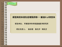 新型高效体液免疫增强药物重组BlyS突变体课件