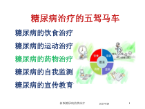 新版糖尿病药物治疗培训课件