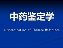 新编中药鉴定学医学课件