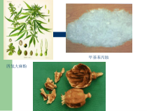 学习特殊管理药品的管理制度课件