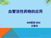 血管活性药物的应用课件
