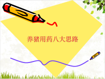 养猪用药八大思路课件