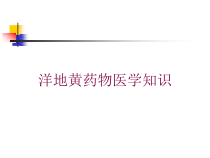 洋地黄药物医学知识培训课件