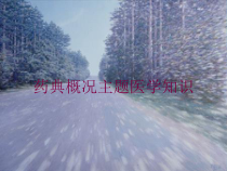 药典概况主题医学知识培训课件