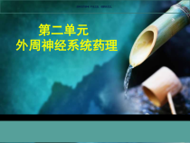 药理学传出神经系统药理概论课件