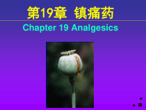 药理学-第19章-镇痛药课件
