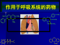 药理学-第25章-呼吸系统药物课件