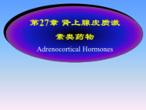 药理学-第27章-肾上腺皮质激素类药物课件