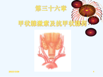 药理学第36章_甲状腺激素及抗甲状腺药课件