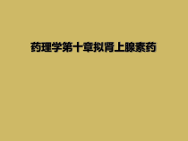 药理学第十章拟肾上腺素药课件