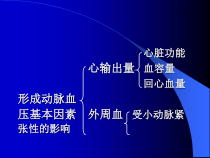 药理学第章抗高血压药课件