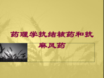 药理学抗结核药和抗麻风药培训课件