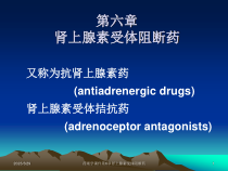 药理学课件第6章肾上腺素受体阻断药课件