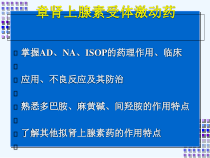 药理学课件肾上腺素受体激动药