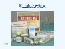药理学皮质激素课件