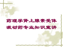 药理学肾上腺素受体激动药专业知识宣讲培训课件