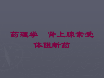 药理学-肾上腺素受体阻断药培训课件