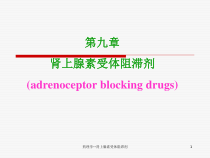 药理学肾上腺素受体阻滞剂-课件