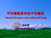药理学药理-36甲状腺激素与抗甲状腺药课件