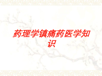 药理学镇痛药医学知识培训课件