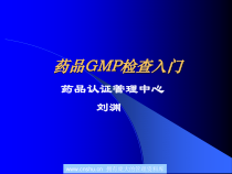 药品GMP检查入门培训教程-197张课件