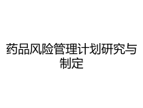 药品风险管理计划研究与制定课件