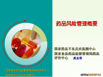 药品风险管理概要课件