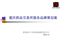 药品交易所服务品牌策划案课件
