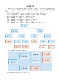 小学科学青岛版六三制六年级下册第二单元第6课《给植物分类》知识点整理（2023春）