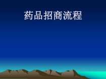 药品招商流程讲义-68张课件
