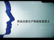 药品注册生产现场检查要点医学课件