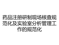 药品注册研制现场核查规范化及实验室分析管理工作的规范化课件
