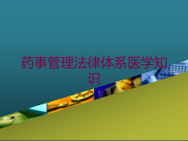 药事管理法律体系医学知识培训课件