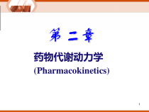 药物代谢动力学课件_2