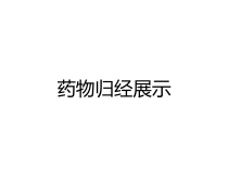药物归经展示课件