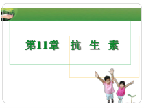 药物化学11-抗生素课件
