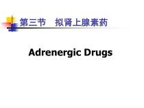 药物化学-第三章-外周神经系统药物-第三节-拟肾上腺素药课件