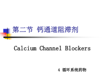 药物化学-第四章-循环系统药物-第二节-钙通道阻滞剂课件