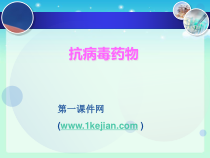 药物化学课件-抗病毒药课件