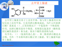 药物化学-去甲肾上腺素-肾上腺素-异丙肾上腺课件